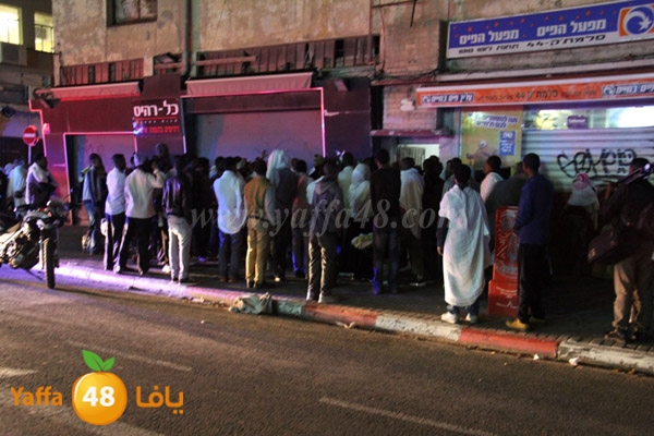 shejar aretreeien (10).JPG